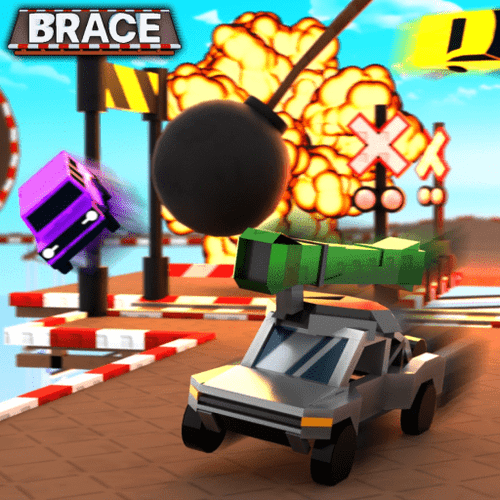 Brace