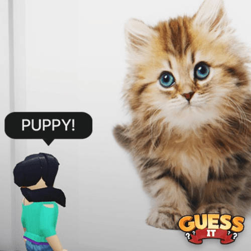Guess It: Images