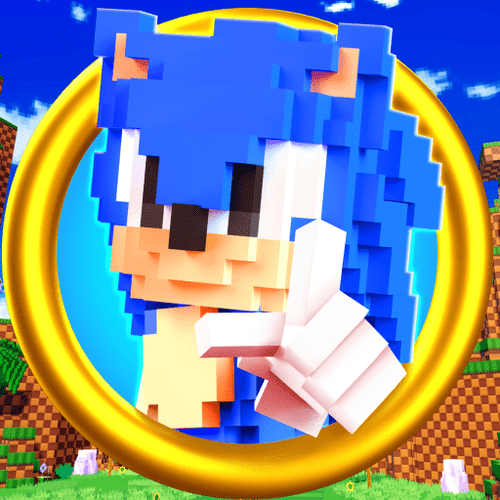 Sonic Speed Simulator